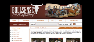 bullsense rodeo photography